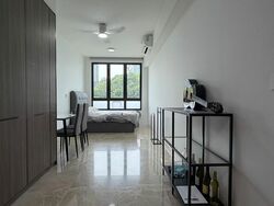 Irwell Hill Residences (D9), Apartment #521273621